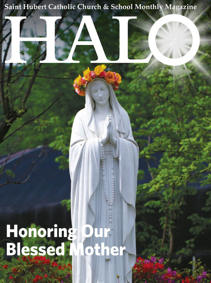 halo-cover-compressed