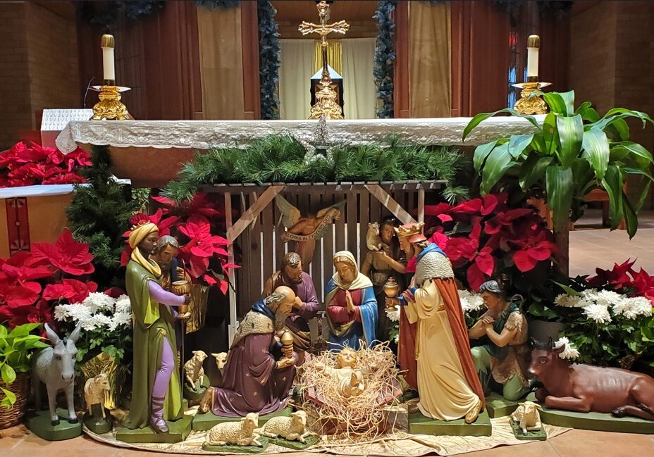 Christmas flowers web image